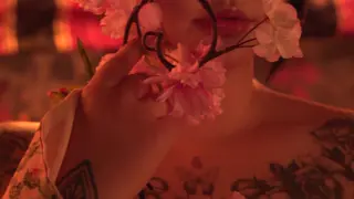 171jun01 leaked video, frame 3