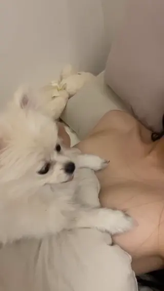 17a leaked video preview