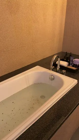 aamandazahra leaked video preview