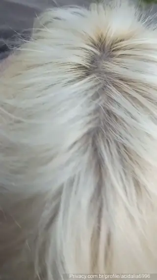 acidalia_astreia leaked video preview