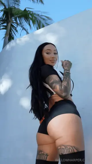 afterdarkwillow leaked video, frame 4