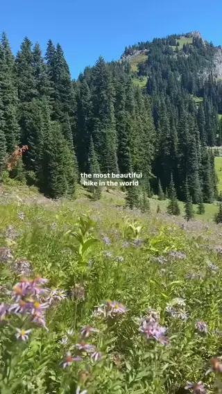 agirlnamedally leaked video, frame 3
