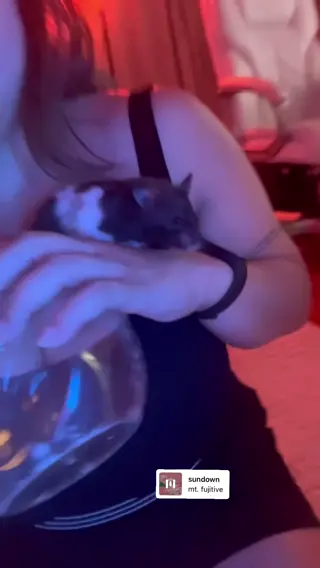 akidearest leaked video preview
