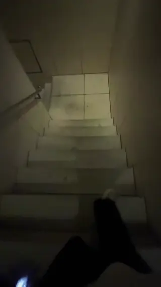 akidearest leaked video preview