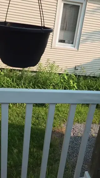 alisonator leaked video, frame 6
