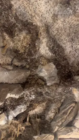 amalieolufsen leaked video, frame 4
