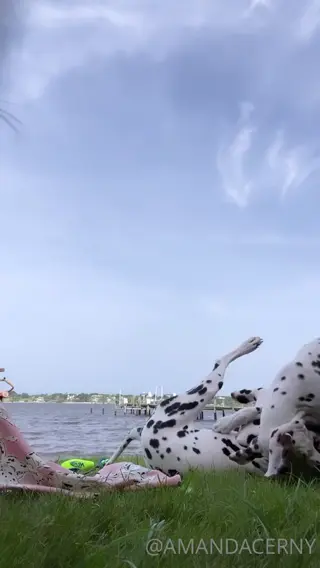amanda_cerny leaked video preview