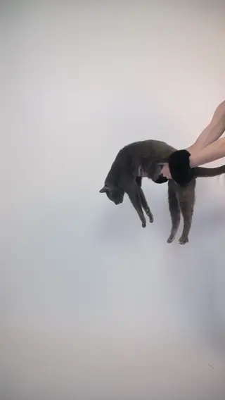 amandadevil leaked video preview