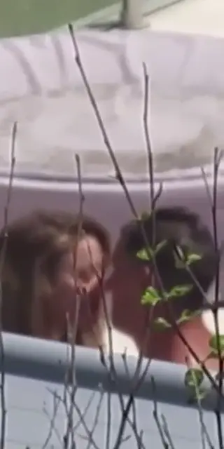 amberheard leaked video, frame 5