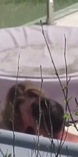 amberheard leaked video, frame 6
