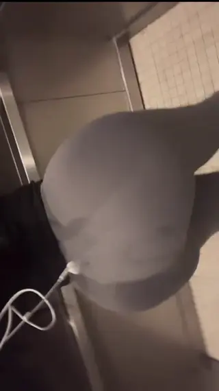 amburnee leaked video preview