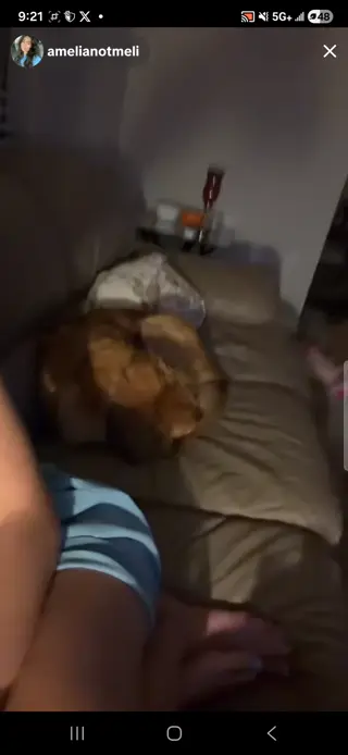 amelianotmeli leaked video, frame 4