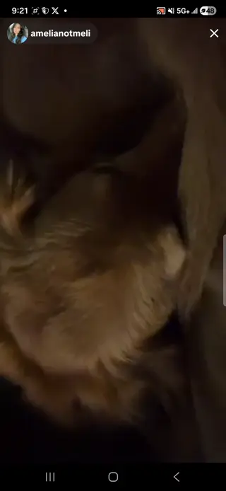 amelianotmeli leaked video, frame 5