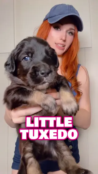 amouranth leaked video preview