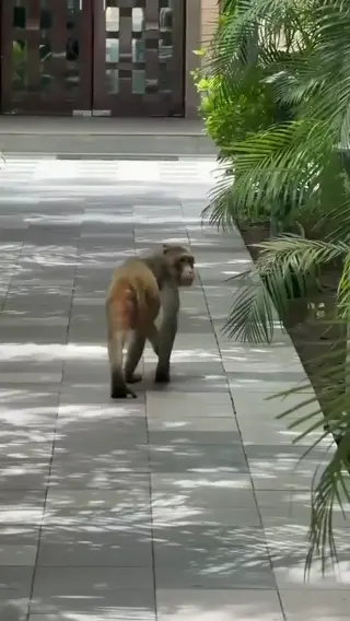 amy_qg leaked video, frame 3