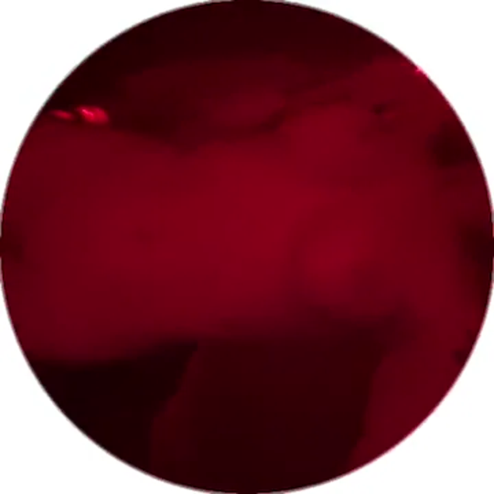 ana leaked video preview