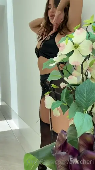anacheri leaked video, frame 4