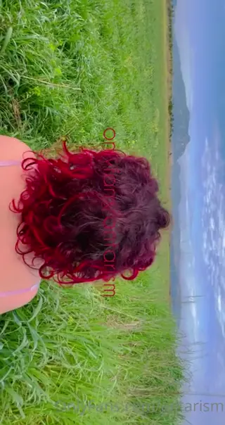 antarism leaked video, frame 3