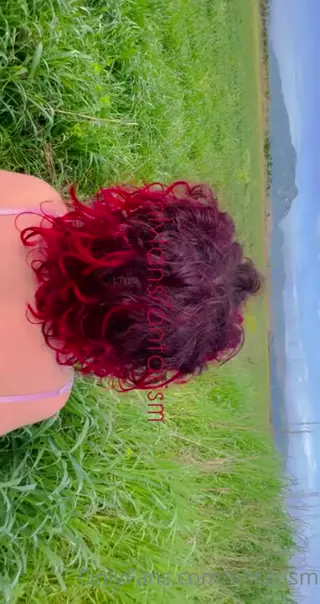 antarism leaked video, frame 4