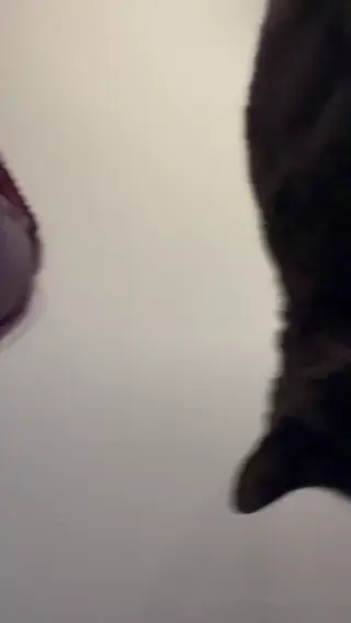 ariesiatv leaked video, frame 5
