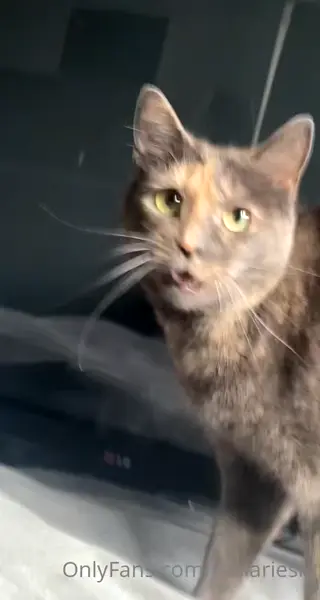 ariesiatv leaked video, frame 1
