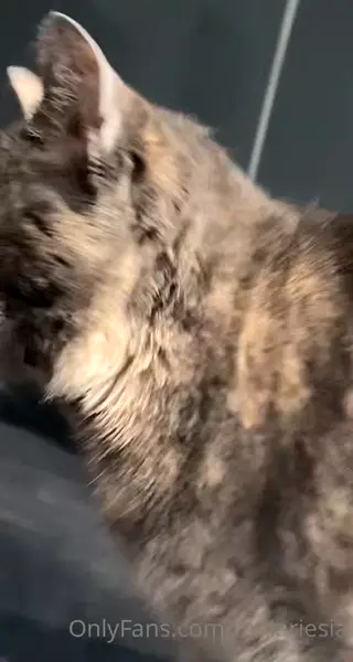 ariesiatv leaked video, frame 4