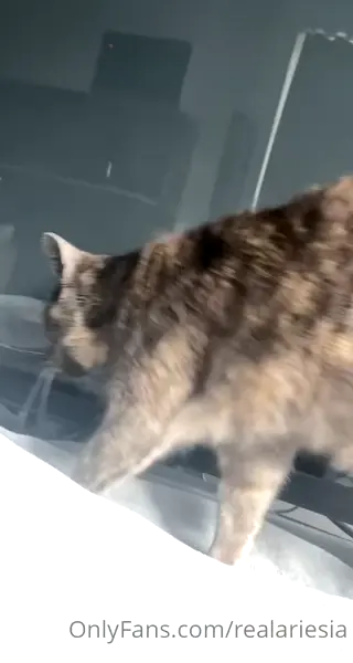 ariesiatv leaked video, frame 5