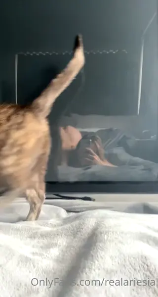 ariesiatv leaked video, frame 6