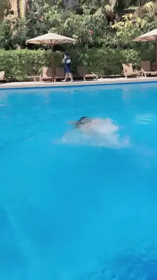 ashleycarolina leaked video, frame 2
