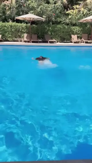 ashleycarolina leaked video, frame 3