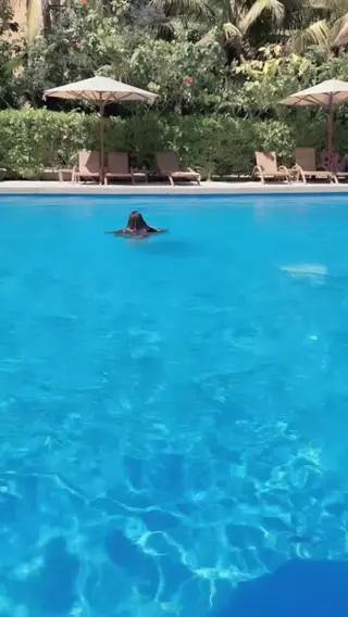ashleycarolina leaked video, frame 4