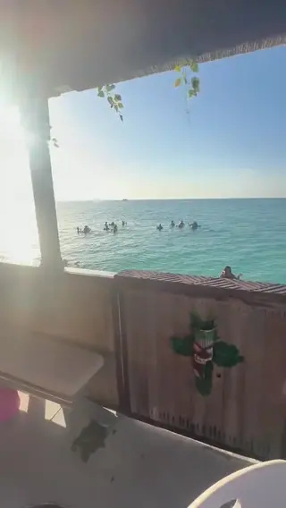 ashleyndelvalle leaked video, frame 6