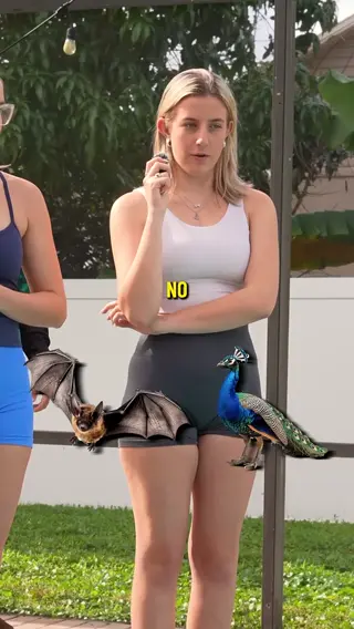ashli.malvita leaked video preview
