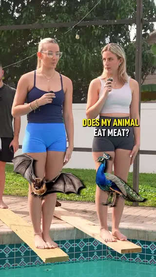 ashli.malvita leaked video, frame 2