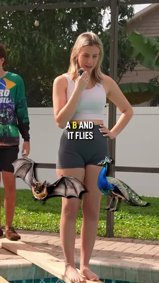 ashli.malvita leaked video, frame 6