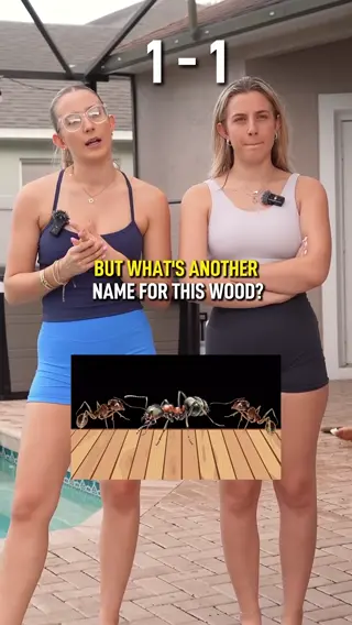 ashli.malvita leaked video, frame 2