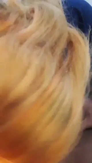 assay_ leaked video preview