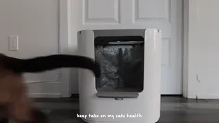 awholelottazozo leaked video, frame 3