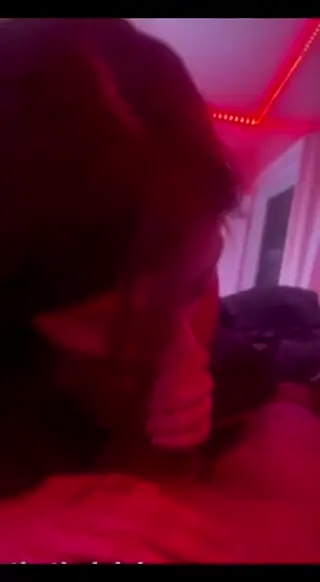 bayleeadami leaked video preview
