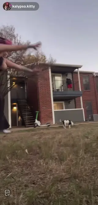 bby.bailz leaked video preview