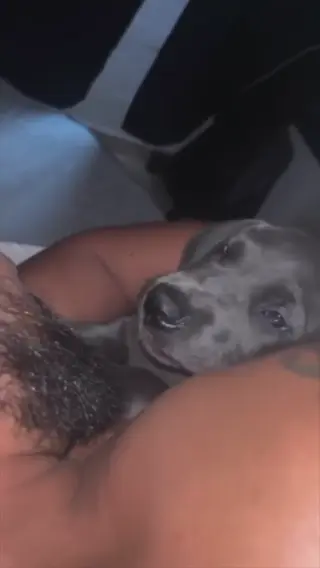 bebahan leaked video, frame 1