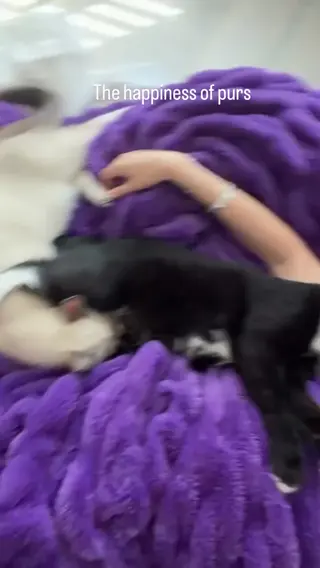 bellathorne leaked video preview