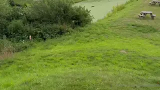 belledelphine leaked video, frame 5