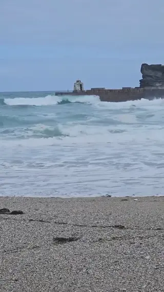 berry_trish leaked video preview