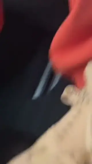 bhadbhabie leaked video preview