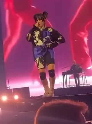 billie_eilish leaked video preview