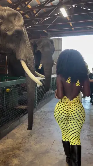 bimbonique leaked video, frame 1