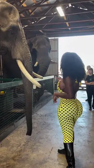 bimbonique leaked video, frame 2