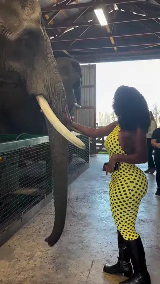 bimbonique leaked video, frame 3