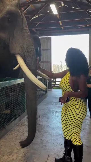 bimbonique leaked video, frame 4